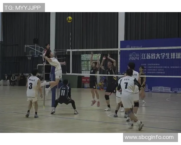 排球盛宴:深入了解上海排球队的默契与团队精神 排球盛宴:深入了解上海排球队的默契与团队精神