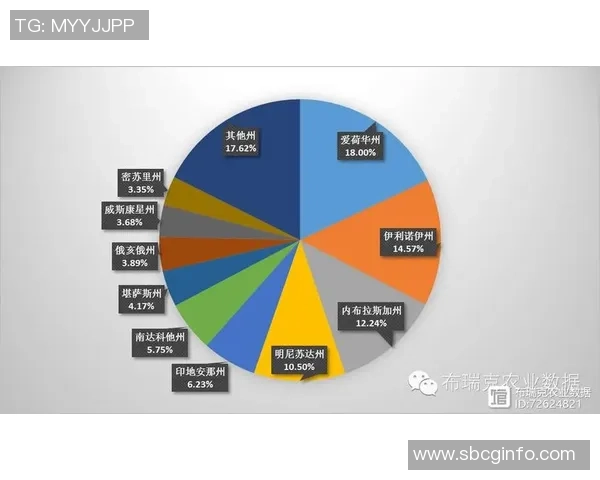 独家分析：广州羽毛球队的速度对比