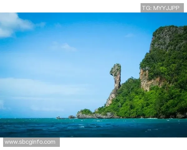 专访刘芳：解密攀岩成功之道