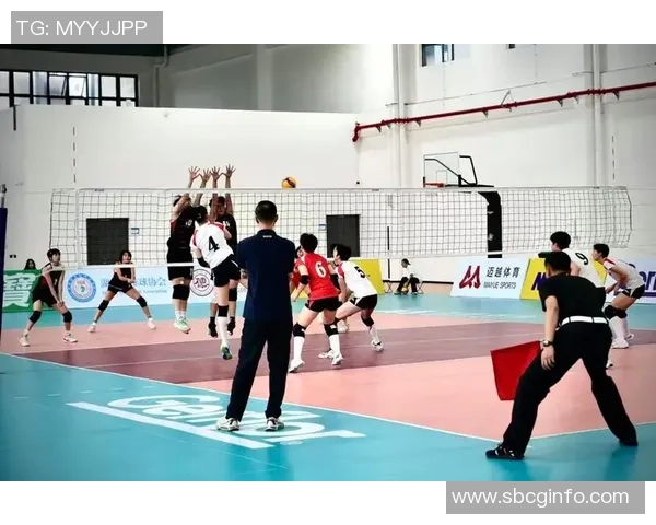 聚焦排球：上海排球队的灵活性话题