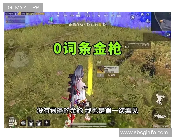 和平精英战术：FPX的运营体系