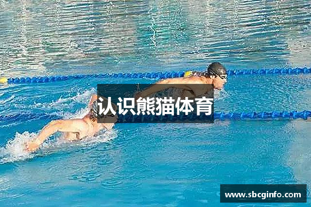 认识熊猫体育
